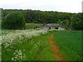 Bridleway under the A10 near Colliers End in East Hertfordshire District