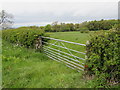 Gate into field near Westward in CA7 8ND