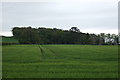 Crop field and woodland, Cairndinnis in EH41 4PX