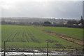 Farmland near Sandycroft in Queensferry Community