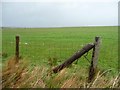 Fenced sheep pasture, west of Hazel Gill in CA7 8EF