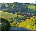 The hill of Sheviock Lane, Crafthole, Cornwall in PL11 3BH
