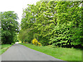 Road through Thetford Forest in IP27 0TE