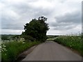 The Causeway, Braughing in SG11 2NN