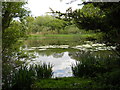 Lake near Lolham Bridges in PE6 9HG