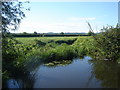 River Isle from bridge, near Bradon Farm in TA3 6RU