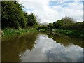 The Kennet & Avon Canal, between bridges 135 and 34 in SN10 2GP