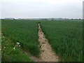 Footpath over fields, Shuttington in B79 0EA