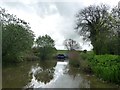 Fat narrowboat moored at between bridges 133 and 132 in SN10 3NE