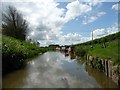 Boats moored along the towpath south of Bridge 132 in SN10 3NE