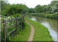 The Oxford Canal and towpath in OX16 2RR