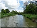 Kennet & Avon Canal, east of Allington Swingbridge in SN10 3NN