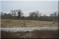 Frosty Farmland, The Ards in B93 8LL