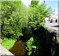 River Ebbw flows past Eugene Cross Park, Ebbw Vale in Badminton Community