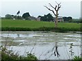 Wilton Water, east of Freewarren Farm in SN8 3ST