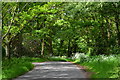 Country lane, Sydmonton, Hampshire in RG20 4AE