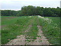 Farm track towards woodland in CV13 0PB