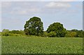 Farmland, Ecchinswell, Hampshire in RG20 4TX