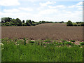 Cultivated fields by Forncett St Peter in NR16 1JA