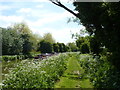 Kennet and Avon Canal [1] in SN10 3NP
