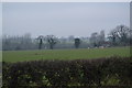 Farmland on the edge of Wymondham in NR18 0JW