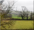 Farmland near Stidston Cross in TQ10 9FQ