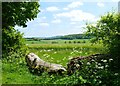 View to the downs, Ecchinswell, Hampshire in RG20 4UG