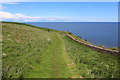 Berwickshire Coastal Path above Partanhall in TD14 5SU