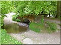 Ford and old bridge at Marsh Bridge in TA22 9RJ