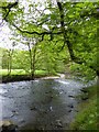 River Barle below Marsh Bridge in TA22 9RJ
