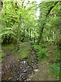 Tributary of the Barle near Marsh Bridge in TA22 9RJ