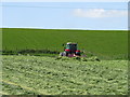 Turning Grass for Silage on High Rigg in CA11 0AN