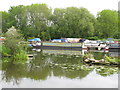 Narrowboat Tantalus in Harefield Marina in UB9 6AR