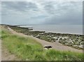 Humber estuary at Easington Bank in HU12 0UA