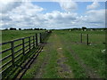 Farm track (footpath), Leamside in DH4 6QQ