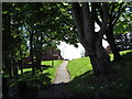 Footpath through the trees in Penyrheol in CF83 2UY
