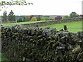 Walls south of Alston Cemetery in CA9 3BJ