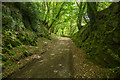 Track leading to Dewerstone Cottage in PL6 7AP