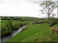 Pastures along River South Tyne valley in CA9 3DF