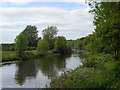 River Nene near Bluebell Wood in PE2 5UX