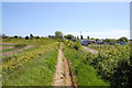 Footpath towards Walton in CO14 8JN