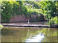 A Heron standing on an Outflow on The Birmingham Canal in B69 1TR