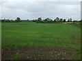 Crop field, Barlestone in CV13 0QH