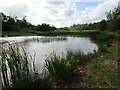 Pond at Highfields Country Park in DN6 7LU