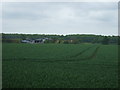 Crop field north of Bilstone Road in CV9 3PP
