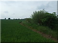 Crop field and hedgerow in B79 0LA
