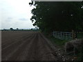 Hedgerow and field, Thorpe Constantine in B79 0LH