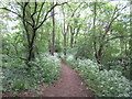 Path to West Hoath Wood in ME8 0NZ