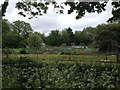 Allotments at Eltisley in Eltisley