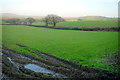 Fields at Beckland Lane in DT6 6RG